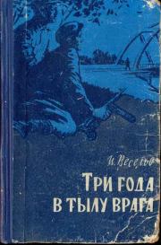 Книга - Три года в тылу врага.  Илья Иванович Веселов  - прочитать полностью в библиотеке КнигаГо