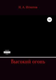 Книга - Высокий огонь.  Николай Александрович Игнатов  - прочитать полностью в библиотеке КнигаГо