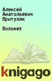 Книга - Полонез.  Алексей Анатольевич Притуляк  - прочитать полностью в библиотеке КнигаГо