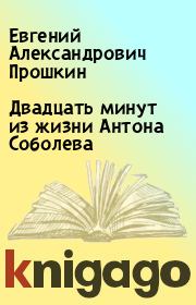 Книга - Двадцать минут из жизни Антона Соболева.  Евгений Александрович Прошкин  - прочитать полностью в библиотеке КнигаГо
