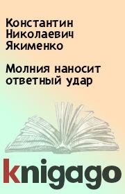Книга - Молния наносит ответный удар.  Константин Николаевич Якименко  - прочитать полностью в библиотеке КнигаГо