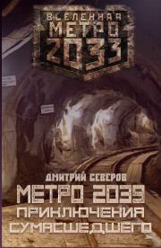 Книга - Метро 2039. Приключения сумасшедшего.  Дмитрий Северов  - прочитать полностью в библиотеке КнигаГо