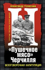 Книга - «Пушечное мясо» Черчилля.  Александр Валерьевич Усовский  - прочитать полностью в библиотеке КнигаГо