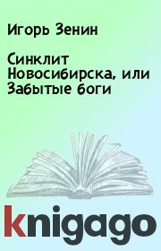 Книга - Синклит Новосибирска, или Забытые боги.  Игорь Зенин  - прочитать полностью в библиотеке КнигаГо