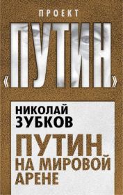 Книга - Путин на мировой арене.  Николай Петрович Зубков  - прочитать полностью в библиотеке КнигаГо
