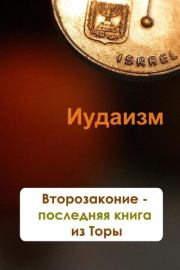 Книга - Второзаконие – последняя книга из Торы.  Илья Мельников  - прочитать полностью в библиотеке КнигаГо