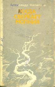 Книга - Когда сверкает молния.  Александр Павлович Филиппов  - прочитать полностью в библиотеке КнигаГо