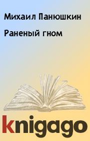 Книга - Раненый гном.  Михаил Панюшкин  - прочитать полностью в библиотеке КнигаГо