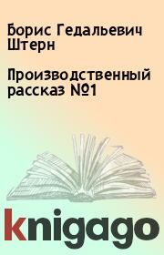 Книга - Производственный рассказ №1.  Борис Гедальевич Штерн  - прочитать полностью в библиотеке КнигаГо