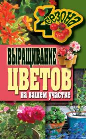 Книга - Выращивание цветов на вашем участке.  Наталия Сергеевна Калинина  - прочитать полностью в библиотеке КнигаГо