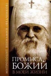 Книга - Промысл Божий в моей жизни.  Митрополит Вениамин (Федченков)  - прочитать полностью в библиотеке КнигаГо