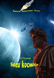 Книга - Боги космоса.  Александр Алексеевич Зиборов  - прочитать полностью в библиотеке КнигаГо