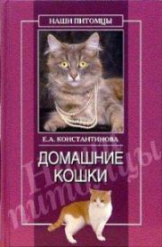 Домашние кошки. Екатерина Александровна Константинова