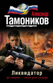 Книга - Ликвидатор.  Александр Александрович Тамоников  - прочитать полностью в библиотеке КнигаГо