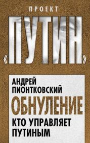 Книга - Обнуление. Кто управляет Путиным.  Андрей Андреевич Пионтковский  - прочитать полностью в библиотеке КнигаГо