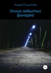 Книга - Улица забытых фонарей.  Андрей Анатольевич Пошатаев  - прочитать полностью в библиотеке КнигаГо