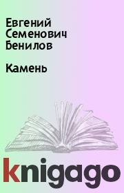 Книга - Камень.  Евгений Семенович Бенилов  - прочитать полностью в библиотеке КнигаГо
