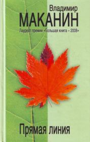 Книга - Прямая линия.  Владимир Семенович Маканин  - прочитать полностью в библиотеке КнигаГо
