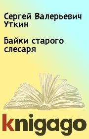 Книга - Байки старого слесаря.  Сергей Валерьевич Уткин  - прочитать полностью в библиотеке КнигаГо