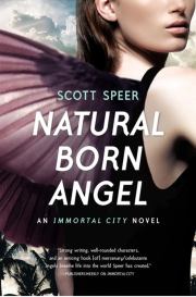 Книга - Прирожденный ангел.  Скотт Спир  - прочитать полностью в библиотеке КнигаГо