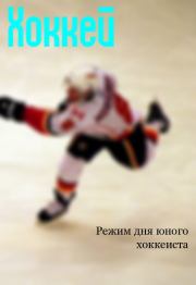 Книга - Режим дня юного хоккеиста.  Илья Валерьевич Мельников  - прочитать полностью в библиотеке КнигаГо