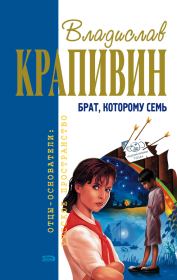 Книга - Брат, которому семь.  Владислав Петрович Крапивин  - прочитать полностью в библиотеке КнигаГо