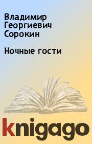 Книга - Ночные гости.  Владимир Георгиевич Сорокин  - прочитать полностью в библиотеке КнигаГо