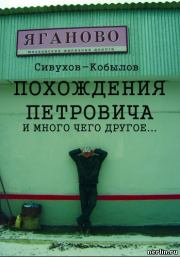 Книга - Похождения Петровича и много чего другое….  Игорь Валентинович Гамазин  - прочитать полностью в библиотеке КнигаГо