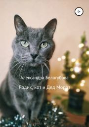 Книга - Родик, кот и Дед Мороз.  Александра Белогубова  - прочитать полностью в библиотеке КнигаГо