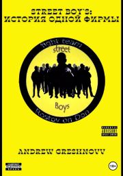Книга - Street Boy