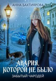 Книга - Забытый чародей. Авария, которой не было (СИ).  Анна Бахтиярова  - прочитать полностью в библиотеке КнигаГо