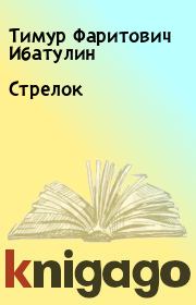 Книга - Стрелок.  Тимур Фаритович Ибатулин  - прочитать полностью в библиотеке КнигаГо