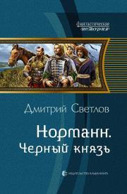 Книга - Черный князь.  Дмитрий Николаевич Светлов  - прочитать полностью в библиотеке КнигаГо