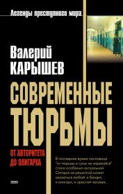 Книга - Современные тюрьмы. От авторитета до олигарха.  Валерий Михайлович Карышев  - прочитать полностью в библиотеке КнигаГо