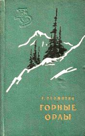 Книга - Горные орлы.  Ефим Николаевич Пермитин  - прочитать полностью в библиотеке КнигаГо