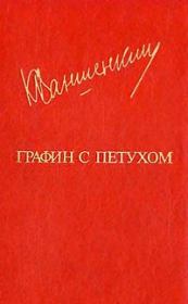 Книга - Графин с петухом.  Константин Яковлевич Ваншенкин  - прочитать полностью в библиотеке КнигаГо