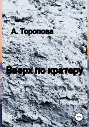 Книга - Вверх по кратеру.  Анастасия Евгеньевна Торопова  - прочитать полностью в библиотеке КнигаГо