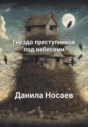 Книга - Гнездо преступников под небесами.  Данила Носаев  - прочитать полностью в библиотеке КнигаГо