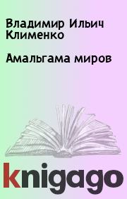 Книга - Амальгама миров.  Владимир Ильич Клименко  - прочитать полностью в библиотеке КнигаГо