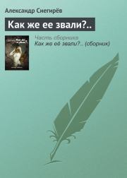Книга - Как же ее звали?...  Александр Снегирев  - прочитать полностью в библиотеке КнигаГо