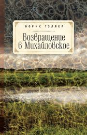 Книга - Возвращение в Михайловское.  Борис Александрович Голлер  - прочитать полностью в библиотеке КнигаГо