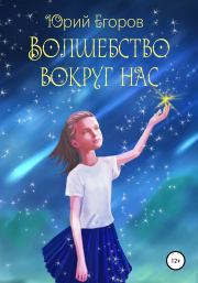 Книга - Волшебство вокруг нас.  Юрий Егоров (Сказоч-ник)  - прочитать полностью в библиотеке КнигаГо