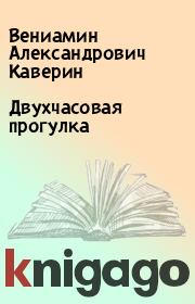 Книга - Двухчасовая прогулка.  Вениамин Александрович Каверин  - прочитать полностью в библиотеке КнигаГо