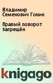 Книга - Правый поворот запрещён.  Владимир Семенович Гоник  - прочитать полностью в библиотеке КнигаГо