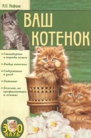 Книга - Ваш котенок.  Ирина Олеговна Иофина  - прочитать полностью в библиотеке КнигаГо