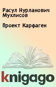 Книга - Проект Карфаген.  Расул Нурланович Мухлисов  - прочитать полностью в библиотеке КнигаГо