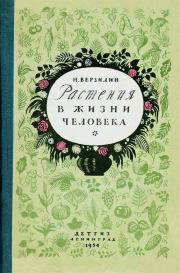 Книга - Растения в жизни человека.  Николай Михайлович Верзилин  - прочитать полностью в библиотеке КнигаГо