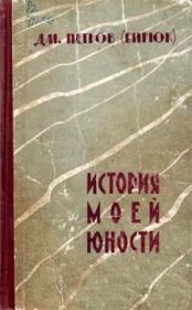 Книга - История моей юности.  Дмитрий Ильич Петров-Бирюк  - прочитать полностью в библиотеке КнигаГо