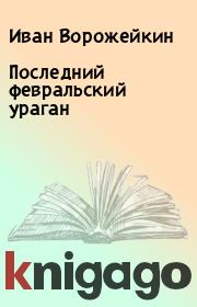 Книга - Последний февральский ураган.  Иван Ворожейкин  - прочитать полностью в библиотеке КнигаГо