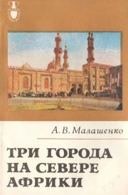 Книга - Три города на севере Африки.  Алексей Всеволодович Малашенко  - прочитать полностью в библиотеке КнигаГо